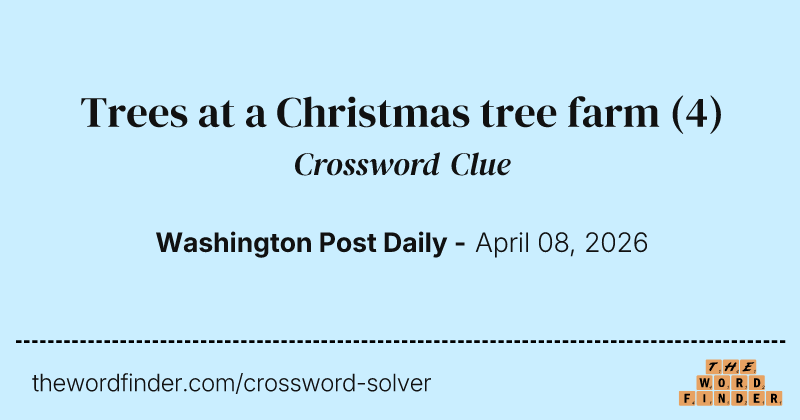 Trees at a Christmas tree farm crossword clue image