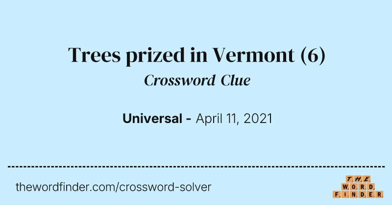Trees prized in Vermont crossword clue image