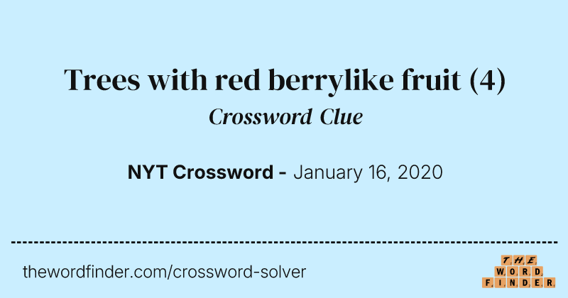 Trees with red berrylike fruit crossword clue image