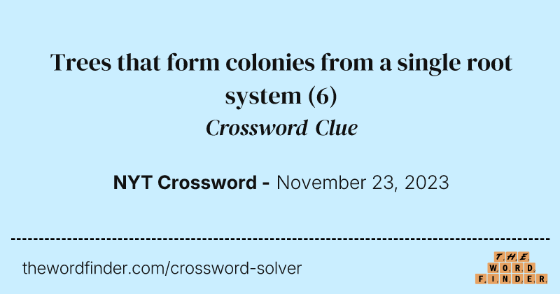 Trees that form colonies from a single root system crossword clue image