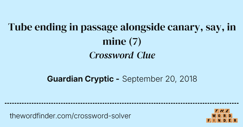 Tube ending in passage alongside canary, say, in mine crossword clue image