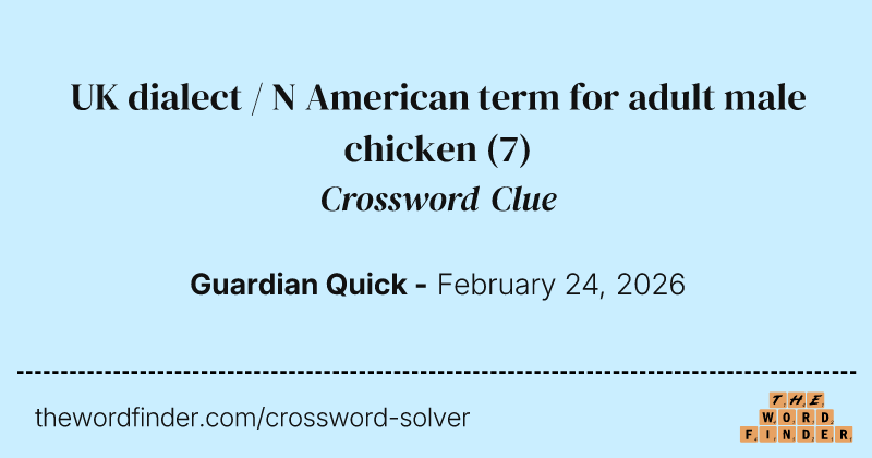 UK dialect / N American term for adult male chicken crossword clue image