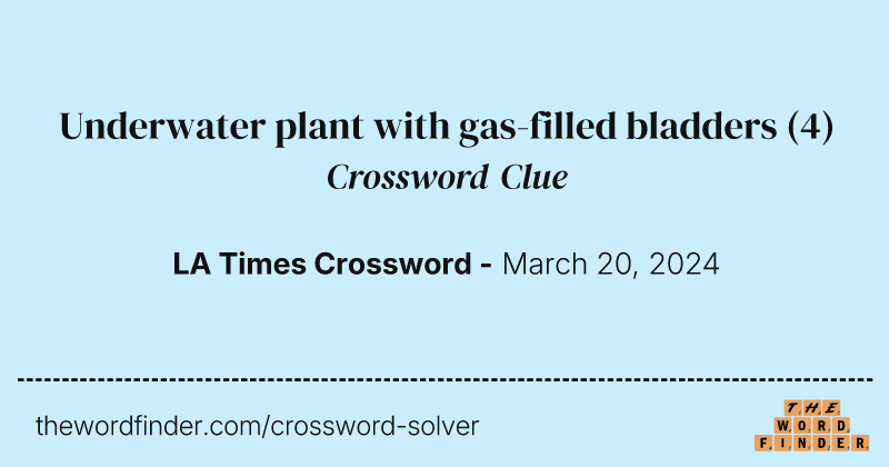 Underwater plant with gas-filled bladders crossword clue image