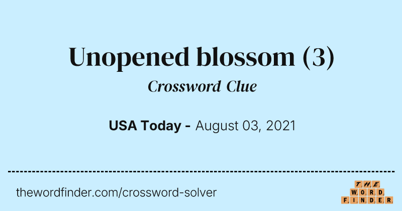 Unopened blossom crossword clue image