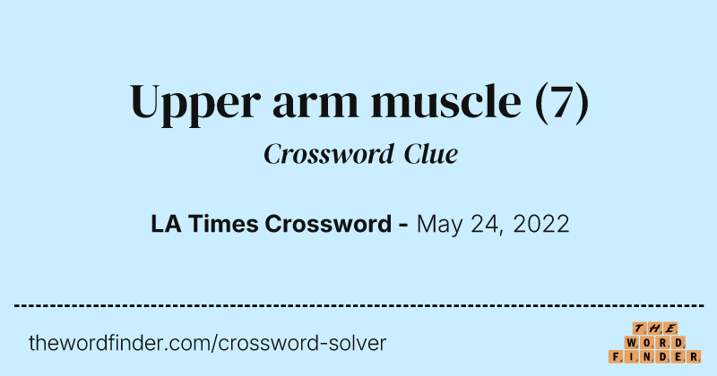 Upper arm muscle crossword clue image