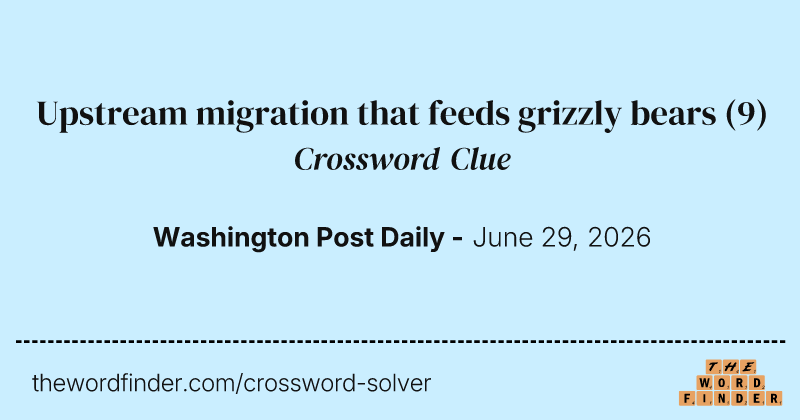Upstream migration that feeds grizzly bears crossword clue image