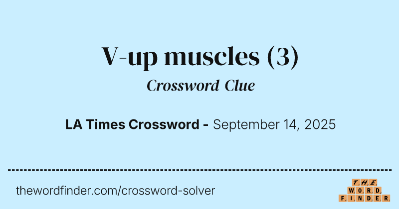 V-up muscles crossword clue image