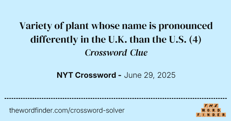 Variety of plant whose name is pronounced differently in the U.K. than the U.S. crossword clue image