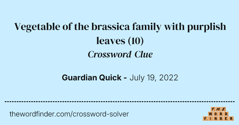 Vegetable of the brassica family with purplish leaves crossword clue image