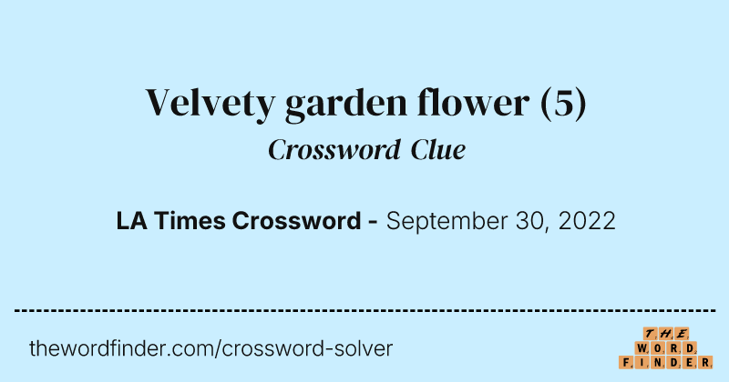 Velvety garden flower crossword clue image