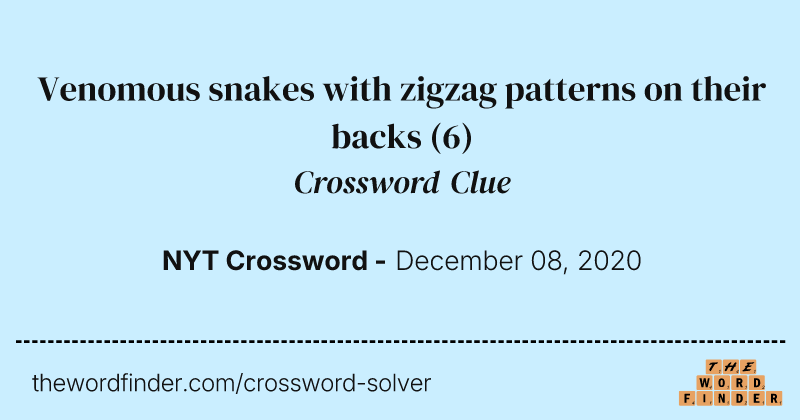 Venomous snakes with zigzag patterns on their backs crossword clue image