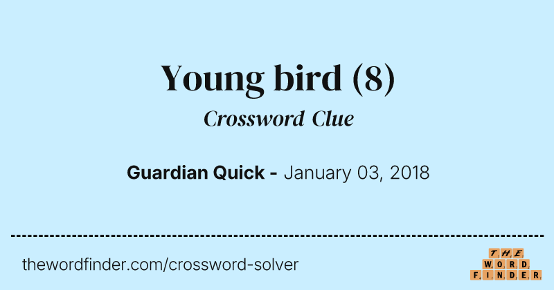 Young bird crossword clue image