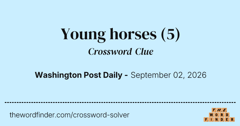 Young horses crossword clue image