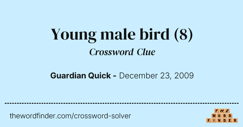 Young male bird crossword clue image