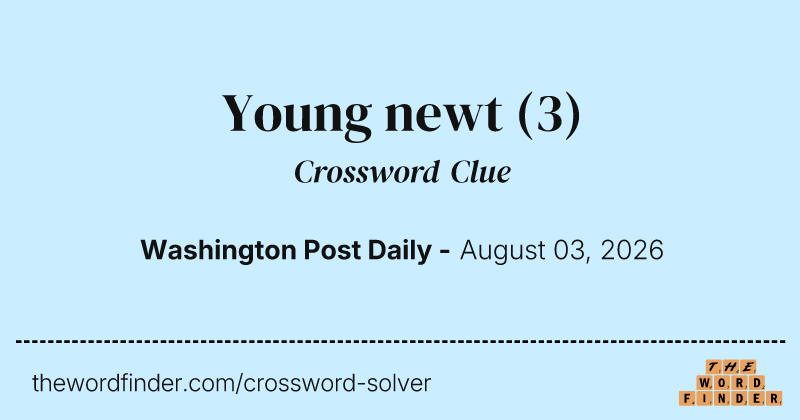 Young newt crossword clue image