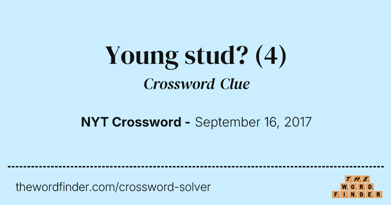 Young stud? crossword clue image