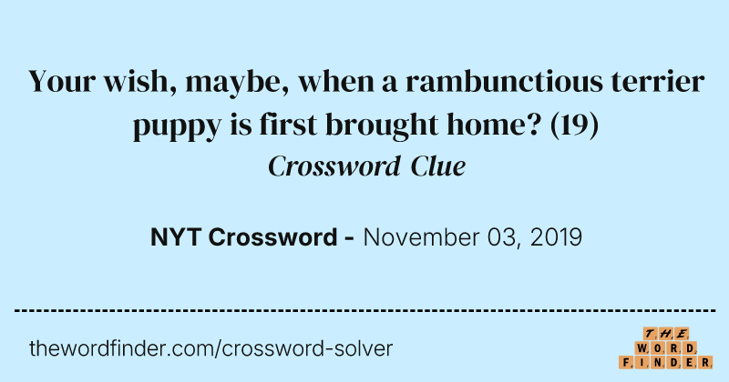 Your wish, maybe, when a rambunctious terrier puppy is first brought home? crossword clue image