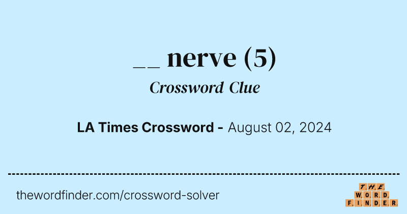 __ nerve crossword clue image
