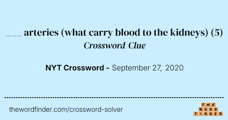 ___ arteries (what carry blood to the kidneys) crossword clue image