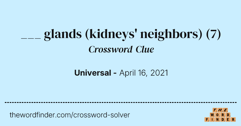 ___ glands (kidneys' neighbors) crossword clue image