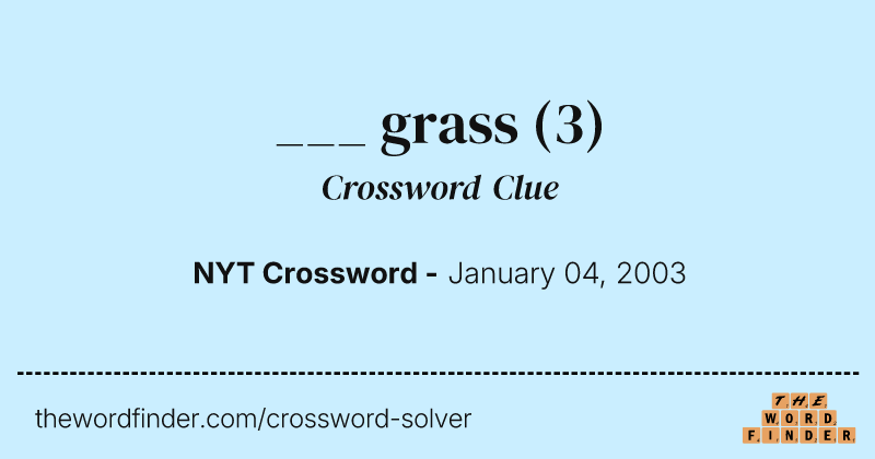 ___ grass crossword clue image
