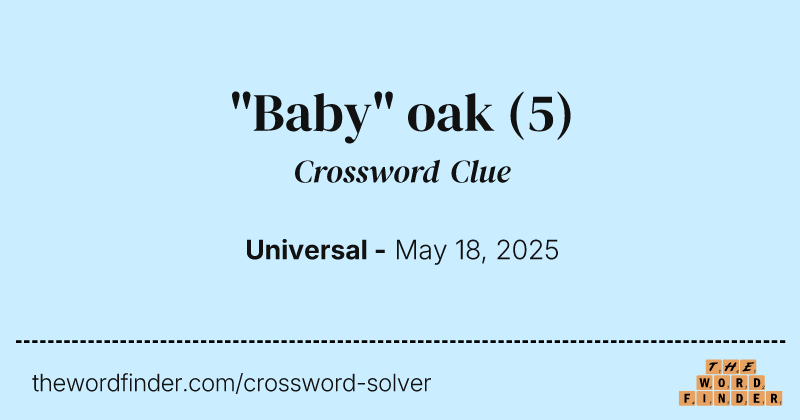 "Baby" oak crossword clue image