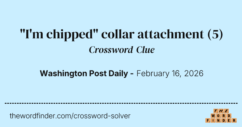 "I'm chipped" collar attachment crossword clue image
