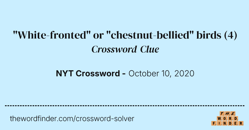 "White-fronted" or "chestnut-bellied" birds crossword clue image
