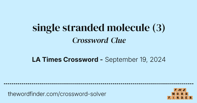 single stranded molecule crossword clue image