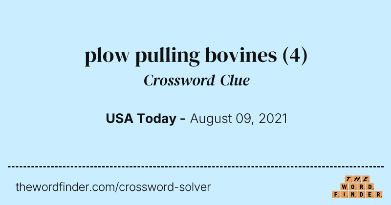 plow pulling bovines crossword clue image