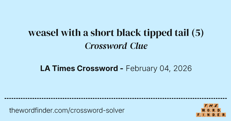 weasel with a short black tipped tail crossword clue image