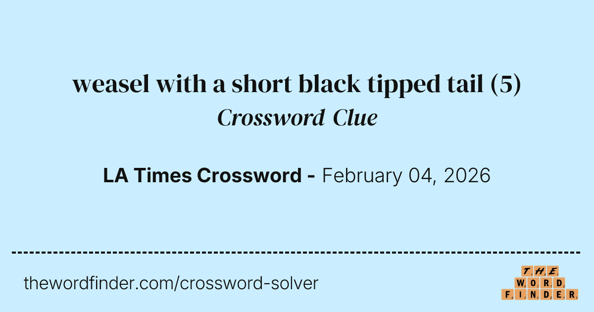 weasel with a short black tipped tail — Crossword Clue