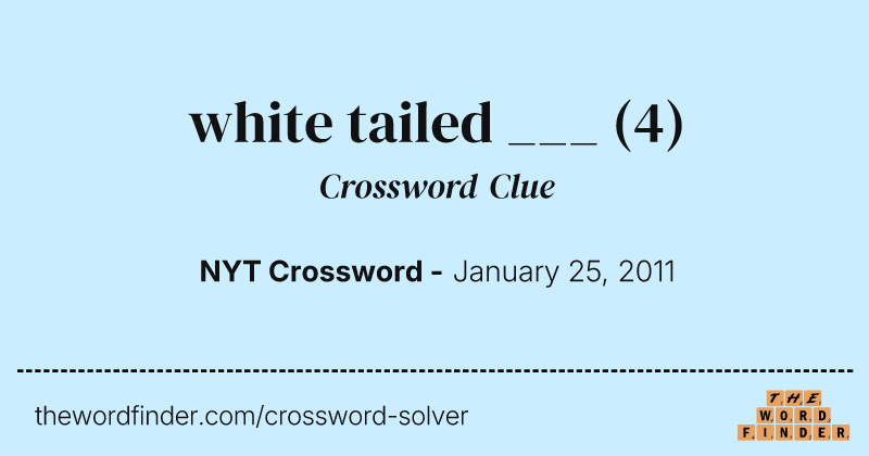 white tailed ___ crossword clue image